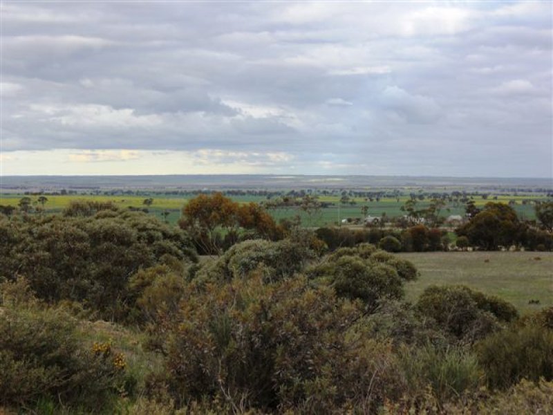 Lot 12932 Great Eastern Highway, Tammin, WA 6409 Property Details