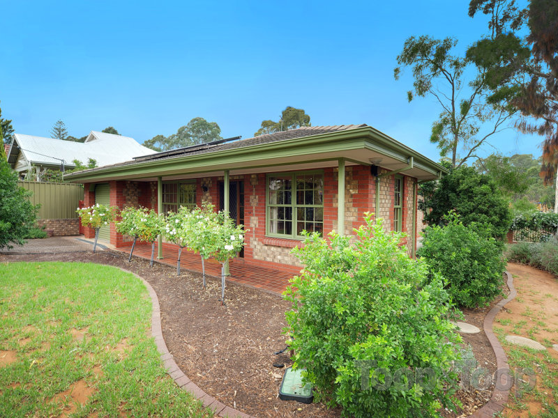 20 Cowan Street, Erindale, SA 5066
