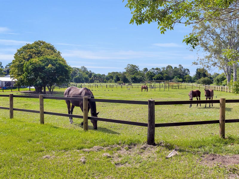 12 Gunsynd Drive, Mudgeeraba, QLD 4213