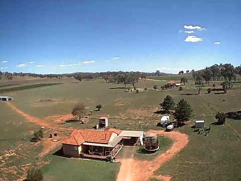 164 Grimshaw Lane, Gulgong, NSW 2852