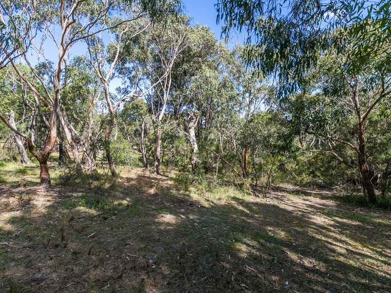 54 Aireys Street, Aireys Inlet, VIC 3231