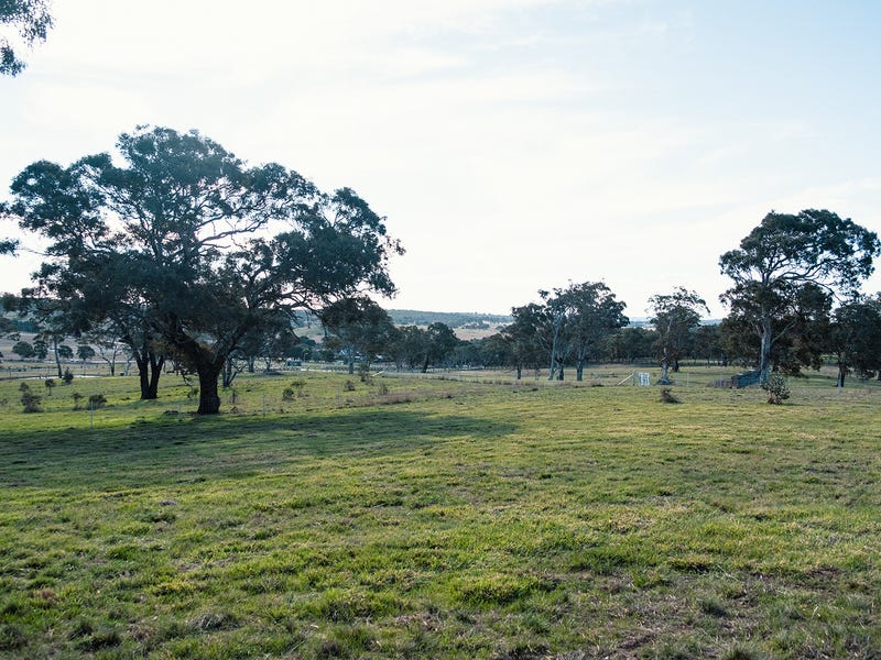 Lot 38, 187 Woodbury Drive, Sutton, NSW 2620 - Residential Land for Sale -  realestate.com.au