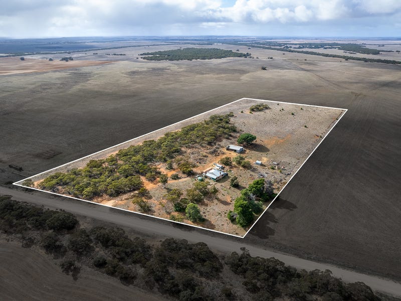 158 Garrick Bore Road, Karoonda, SA 5307 House for Sale realestate