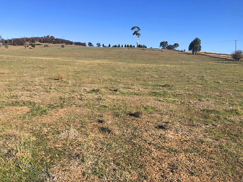 2624 Hobbys Yards Road, Barry, NSW 2799