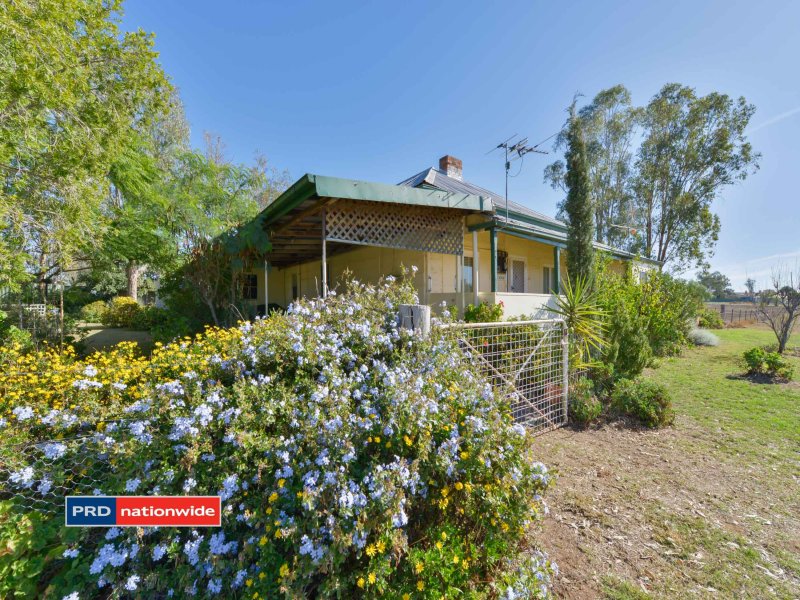 77 Bloomfield Street, Somerton, NSW 2340