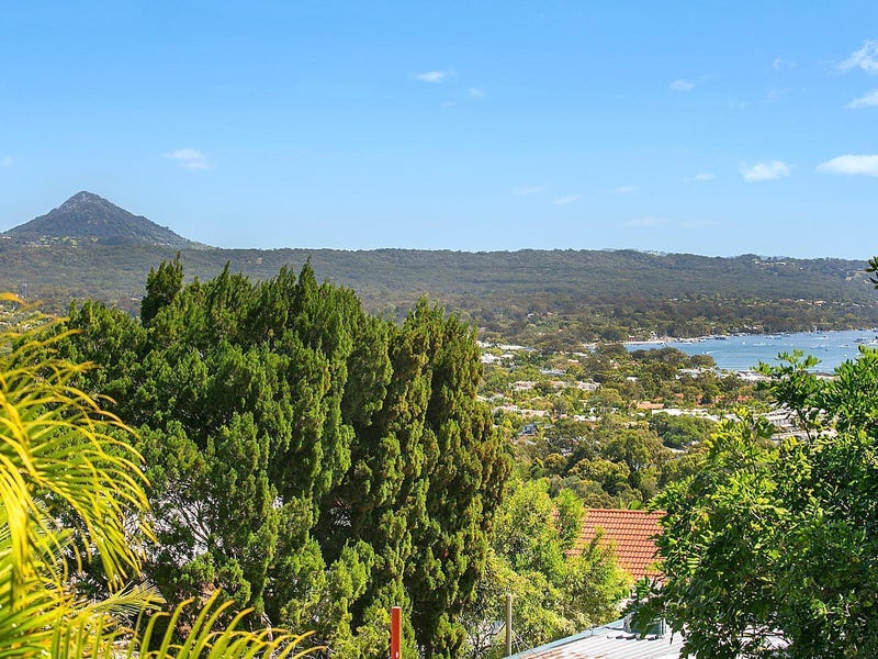 16 Attunga Heights, Noosa Heads, QLD 4567 - realestate.com.au