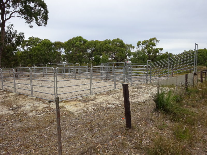 Reids Rd, Kalangadoo, SA 5278 Property Details