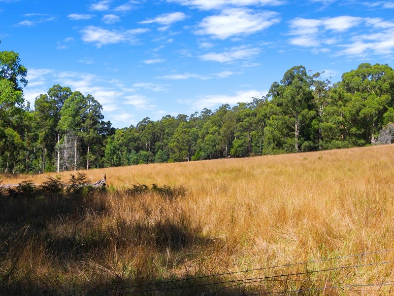 280 Mt Baw Baw Tourist Road, Noojee, Vic 3833