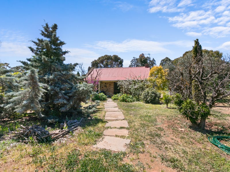 16 South Terrace, Farrell Flat, SA 5416