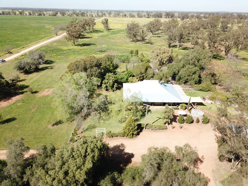 162 Craigie Lea Lane, Narromine, NSW 2821 - realestate.com.au