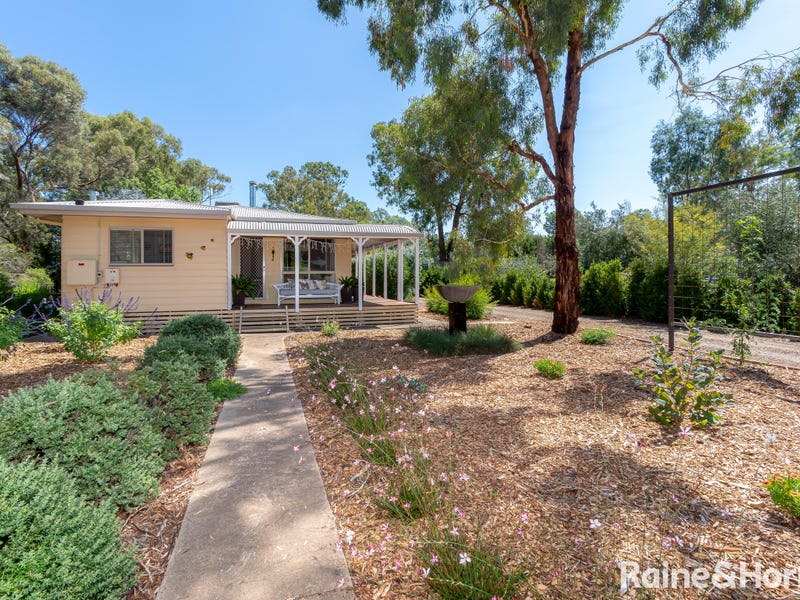 22 Norman Street, The Rock, NSW 2655 - realestate.com.au