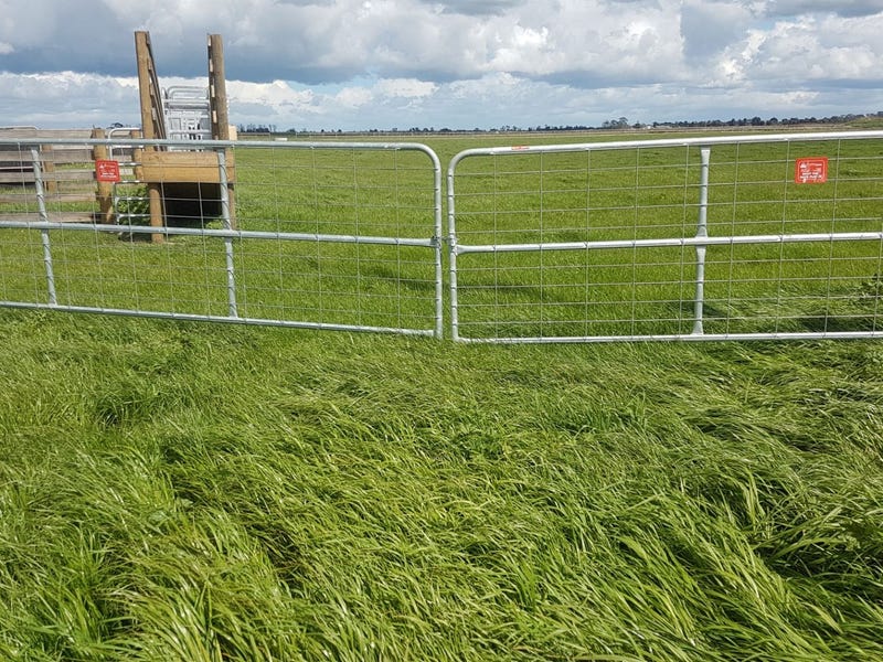 300 Murray Road, Cora Lynn, Vic 3814