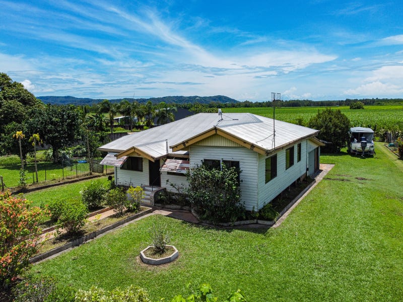 608 Mossman Daintree Road, Miallo, Qld 4873 House for Sale