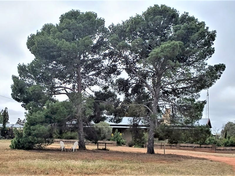 Real Estate & Property for Sale in SA Pg. 24