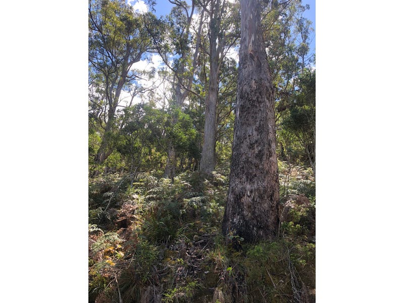 80 Top Road, Blackwood Creek, TAS 7301