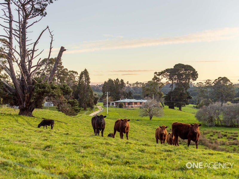 139 Calder Road, Wynyard, Tas 7325 Property Details