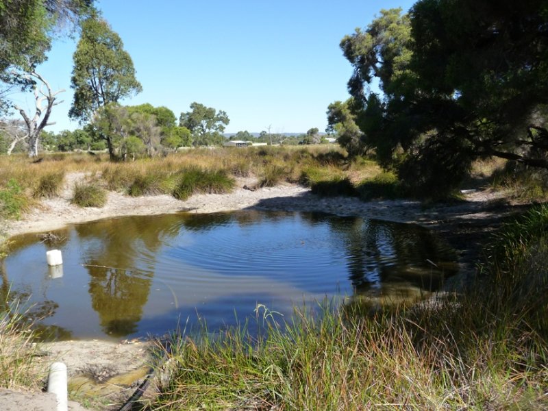 169 Park Street, Brabham, WA 6055