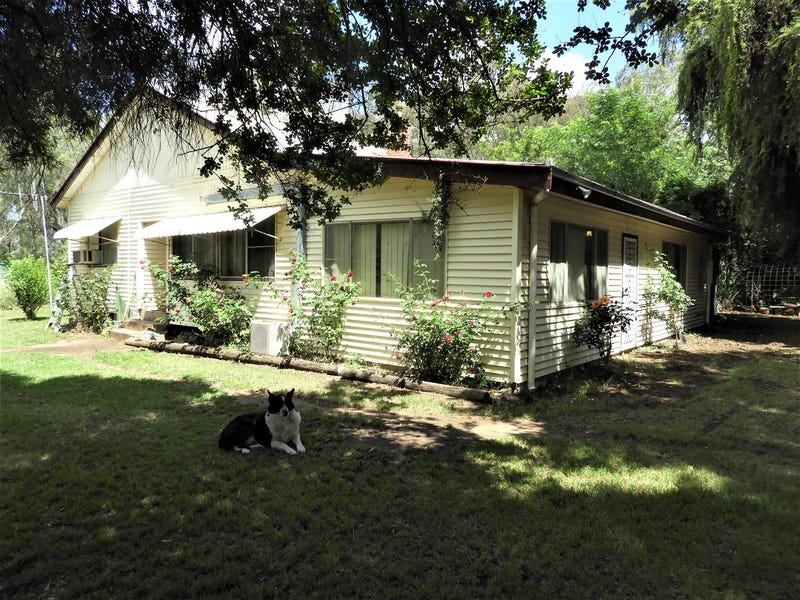 235 Udora Rd, Warren, NSW 2824 Property Details