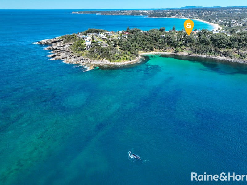 126 Bannister Head Road, Mollymook Beach, NSW 2539 House for Sale