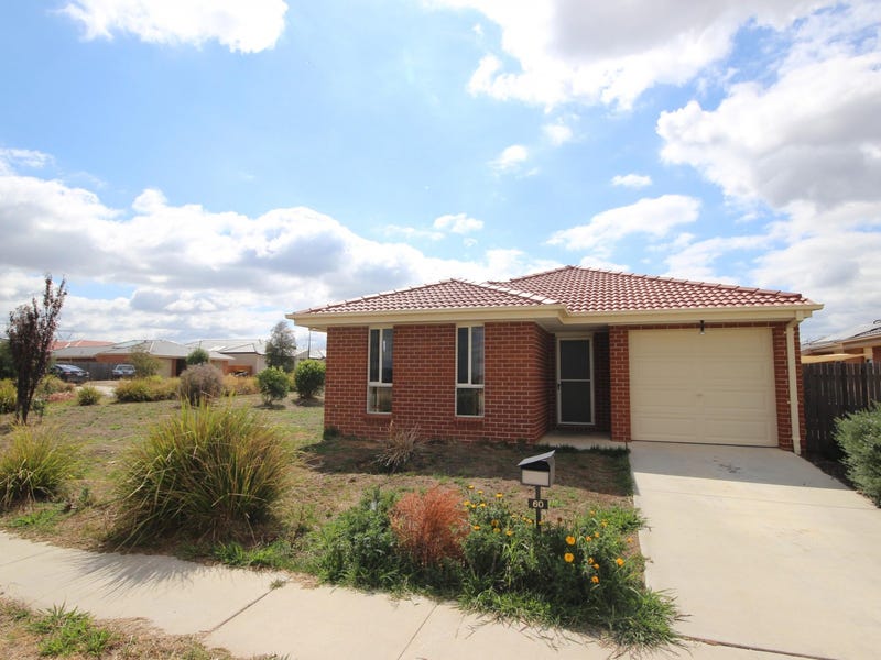 60 Eccles Circuit, Macgregor, ACT 2615