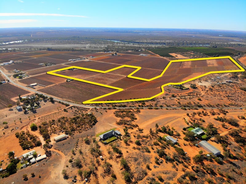 26 Sykes Lane, Lyrup, SA 5343 Property Details