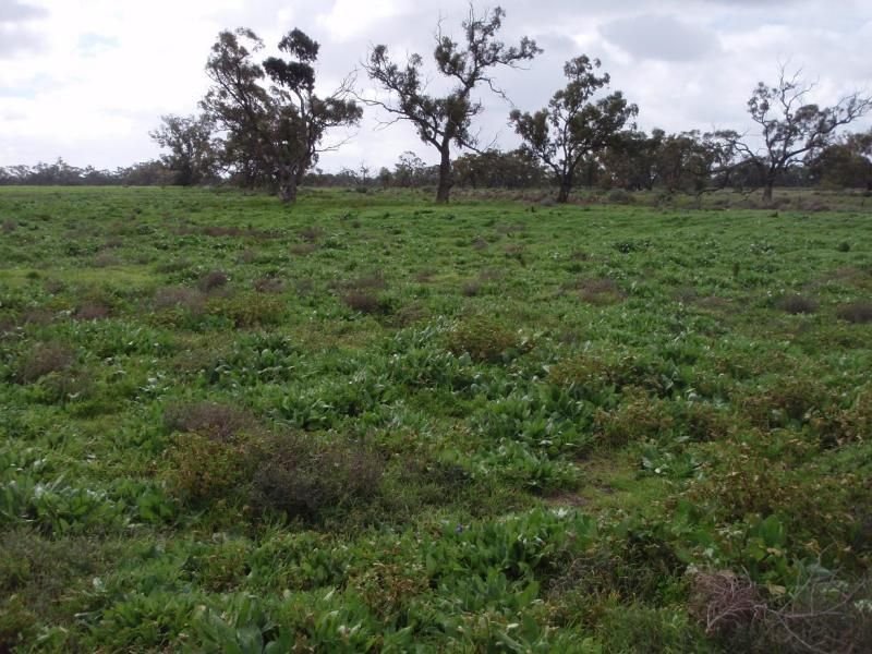 Lot 122 Mid Western Highway, Hay, NSW 2711 Property Details
