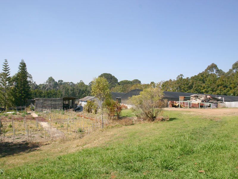 158 Long Road, Tamborine Mountain, QLD 4272