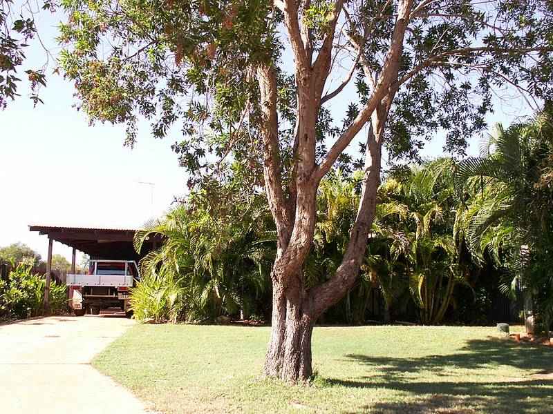 47 Godwit Crescent Roebuck Estate, Broome, WA 6725 Property Details