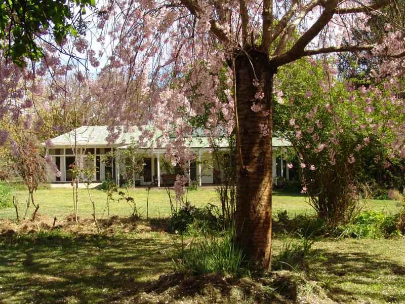 239 Lower Tarcutta Road, Tarcutta, NSW 2652