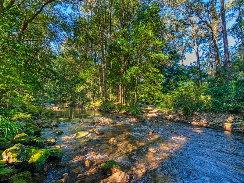 Real Estate & Property for Sale in Bellingen, NSW 2454