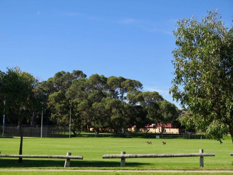 17 Whitley Crescent, Karrinyup, WA 6018 Property Details