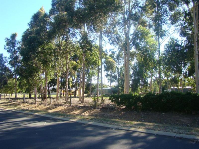 13 Digger Place, Boyanup, WA 6237