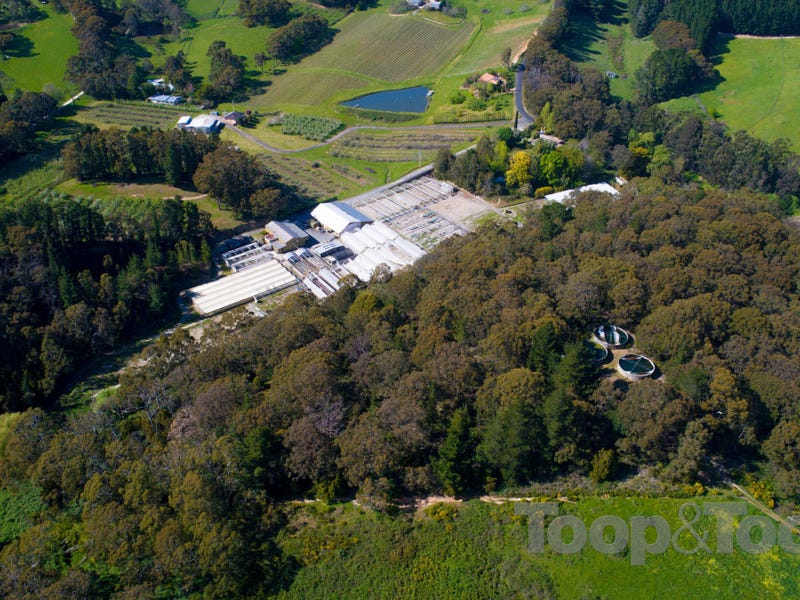 78 Nicols Road, Carey Gully, SA 5144