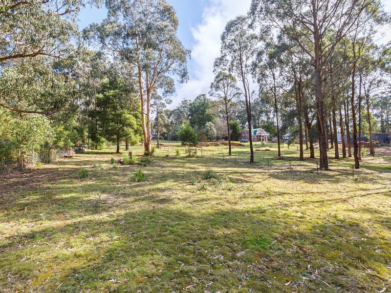 10 Watsons Road, Pheasant Creek, VIC 3757