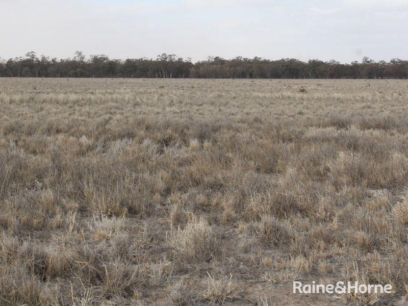 Rural properties for Sale in Trundle, NSW 2875