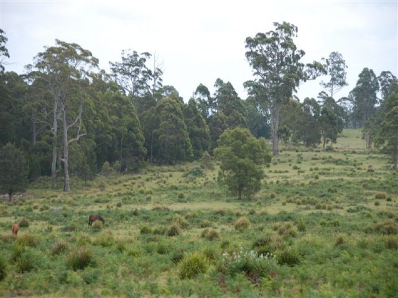 Wal's Place Yarrowitch Via Walcha, Walcha, NSW 2354 Property Details