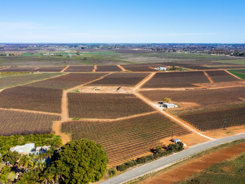 362 Derrick Road, Loxton North, SA 5333