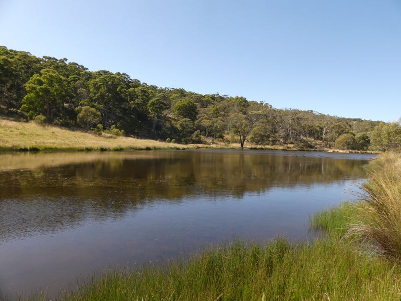 785 Wainui Road, Buckenderra, NSW 2630 - Lifestyle for Sale ...