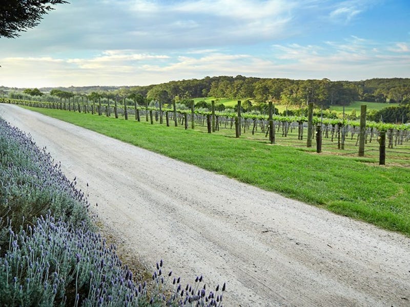 83 Tucks Road, Main Ridge, VIC 3928