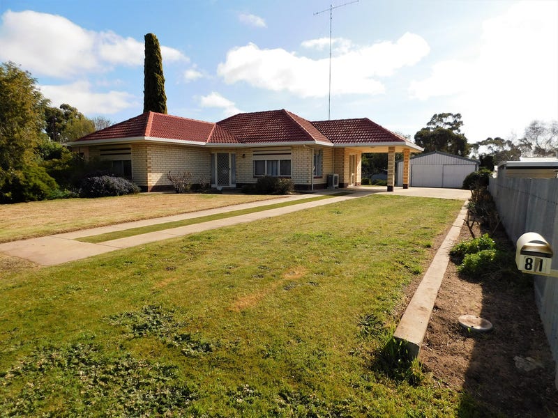 81 Venn Avenue, Bordertown, SA 5268