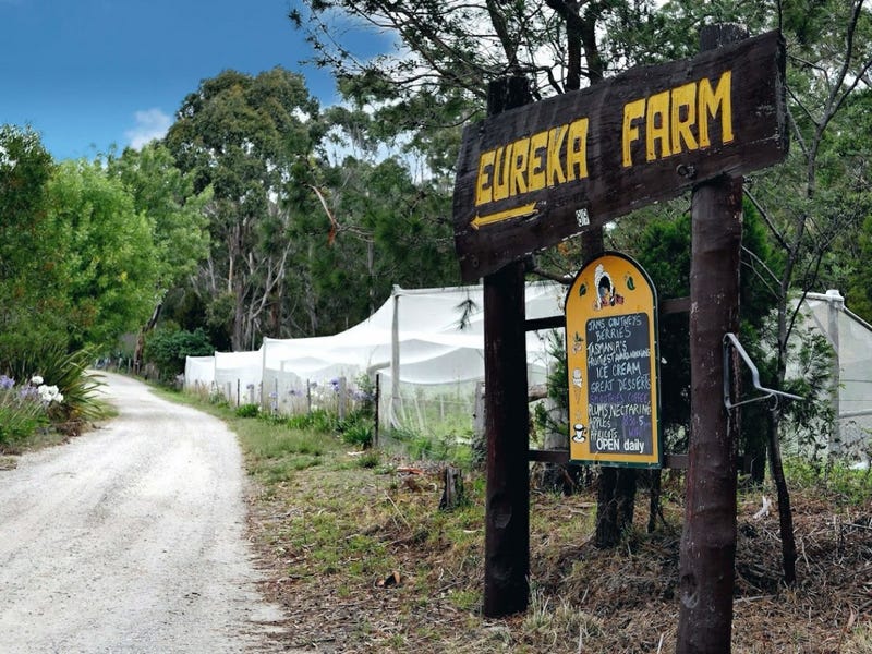 89 Upper Scamander Road, Scamander, Tas 7215 House for Sale