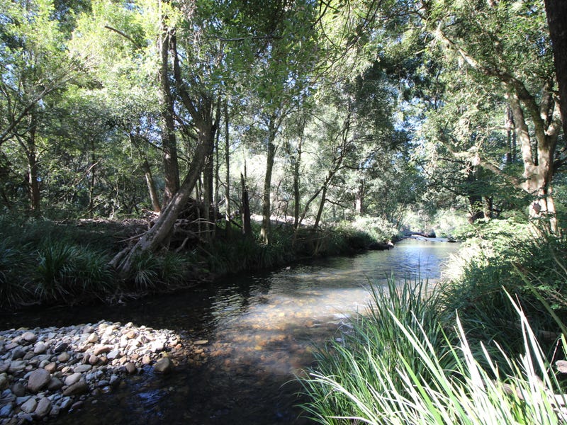 444 Upper Rollands Plains Road, Upper Rollands Plains, NSW 2441