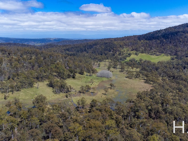 Bona Vista Storeys Creek Road, Avoca, Tas 7213 Property Details