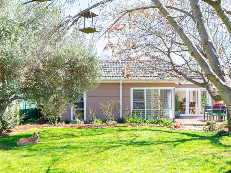 54 Campbell Street, Ainslie, ACT 2602 Property Details