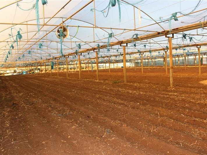 294 Penfield Road, Virginia, SA 5120 Property Details