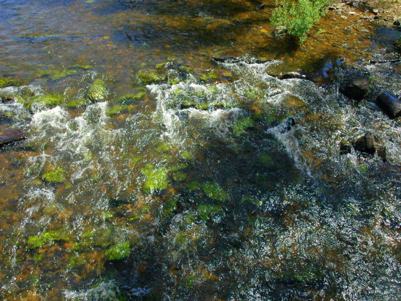 16784 Hume hwy, Goulburn, NSW 2580 Property Details