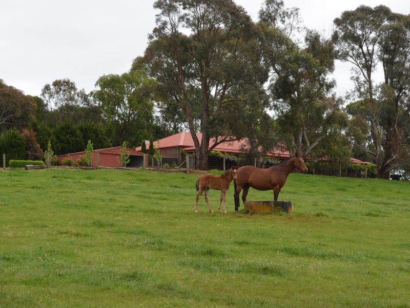355 Canavans Road, Mount Eccles South, VIC 3953