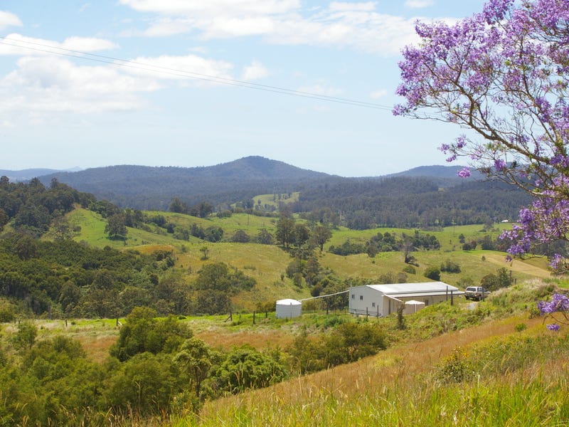 Real Estate & Property for Sale in Taylors Arm, NSW 2447 realestate