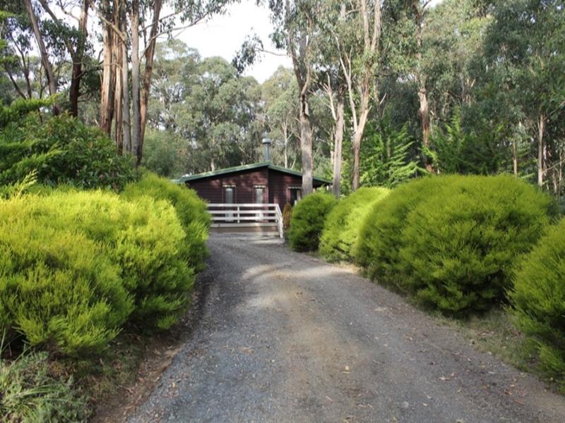 4 Pine Court, Dales Creek, VIC 3341