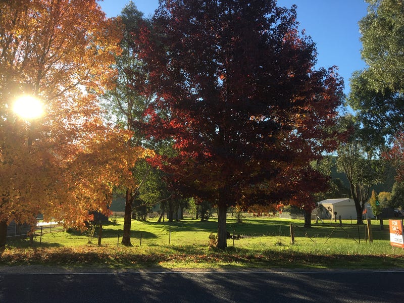 1417 Myrtlefordyackandandah Road, Mudgegonga, VIC 3737